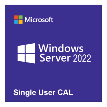 Microsoft Windows Server 2022 - 1 User CAL - License