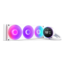 Kraken Elite 360 RGB (2024), White, 360mm Radiator, Liquid Cooling System